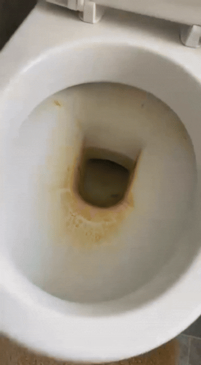 Klair Clean™ – Élimine les traces jaunes des WC pendant des mois (sans frotter)